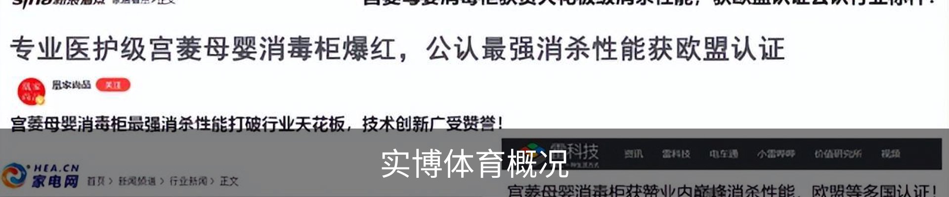 实博体育概况